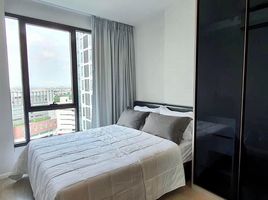 1 Bedroom Condo for rent at CIELA Sripatum, Lat Yao, Chatuchak, Bangkok, Thailand