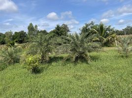  Grundstück zu verkaufen in Samrong, Ubon Ratchathani, Samrong