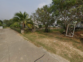 ขายที่ดิน ใน สันทราย เชียงใหม่, ป่าไผ่, สันทราย