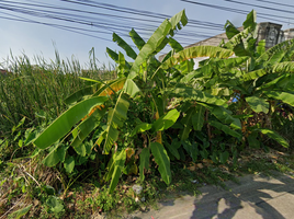 ขายที่ดิน ใน เมืองปทุมธานี ปทุมธานี, บางปรอก