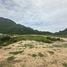  Grundstück zu verkaufen in Sam Roi Yot, Prachuap Khiri Khan, Sam Roi Yot, Sam Roi Yot, Prachuap Khiri Khan