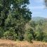  Land for sale in Mae Rim, Chiang Mai, Huai Sai, Mae Rim