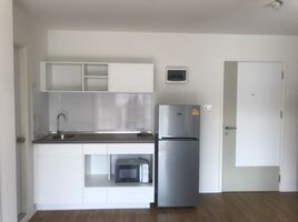 2 Bedroom Condo for rent at Lumpini Place Bangna Km.3, Bang Na