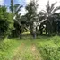  Land for sale in Ban Na Doem, Surat Thani, Na Tai, Ban Na Doem