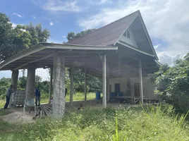  Grundstück zu verkaufen in Chiang Dao, Chiang Mai, Thung Khao Phuang