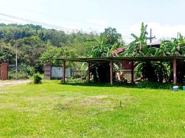 5 Schlafzimmer Haus zu verkaufen in Mae Lao, Chiang Rai, Pong Phrae