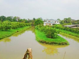  Grundstück zu verkaufen in Nong Suea, Pathum Thani, Bueng Ba