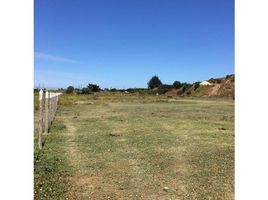  Land for sale at Algarrobo, Casa Blanca, Valparaiso, Valparaiso