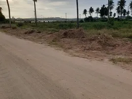  Grundstück zu verkaufen in Pattaya, Chon Buri, Nong Prue