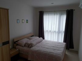 2 Schlafzimmer Appartement zu vermieten im Life Sukhumvit 48, Phra Khanong, Khlong Toei