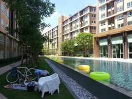 1 Bedroom Condo for rent at Dcondo Campus Resort Rangsit, Khlong Nueng, Khlong Luang, Pathum Thani