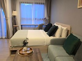 Studio Apartment for rent at THE BASE Bukit, Wichit, Phuket Town, Phuket