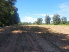  Land for sale in Pak Thong Chai, Nakhon Ratchasima, Tum, Pak Thong Chai