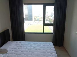 1 Schlafzimmer Appartement zu vermieten im Life Asoke, Bang Kapi, Huai Khwang, Bangkok
