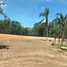  Land for sale in Phuket, Pa Khlok, Thalang, Phuket