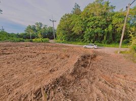  Grundstück zu verkaufen in Phuket Town, Phuket, Ratsada