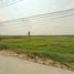 Land for sale in Taling Chan, Bang Pa-In, Taling Chan