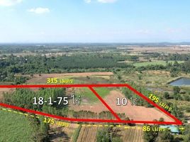  Land for sale in Prachin Buri, Wang Takhian, Kabin Buri, Prachin Buri