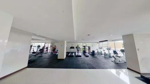 3D视图 of the Communal Gym at The Clover