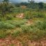  Land for sale in Tefe, Amazonas, Tefe