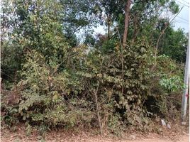  Land for sale in Mueang Ubon Ratchathani, Ubon Ratchathani, Rai Noi, Mueang Ubon Ratchathani