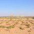  Land for sale at Khalifa City A, Khalifa City A