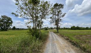 N/A Land for sale in Si Mum, Nakhon Ratchasima 