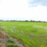  Land for sale in Nong Khaem, Nong Khae, Nong Khaem