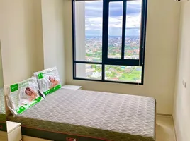 1 Bedroom Condo for rent at Nue Noble Srinakarin - Lasalle, Samrong Nuea, Mueang Samut Prakan, Samut Prakan, Thailand