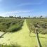  Land for sale in Wat Lamut, Nakhon Pathom, Wat Lamut