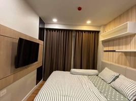 1 Schlafzimmer Wohnung zu vermieten im Dusit Grand Park, Nong Prue