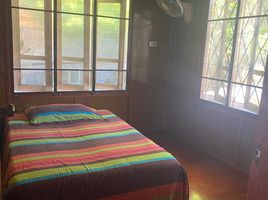 2 Schlafzimmer Haus zu verkaufen in Ko Pha-Ngan, Surat Thani, Ko Pha-Ngan, Ko Pha-Ngan