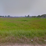  Land for sale in Phan Phrao, Si Chiang Mai, Phan Phrao