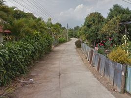  Grundstück zu verkaufen in Chiang Dao, Chiang Mai, Chiang Dao, Chiang Dao