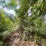 2 Bedroom House for sale in Phuket Town Phuket, Wichit, Phuket Town