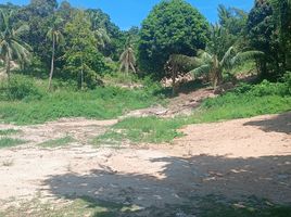  Grundstück zu verkaufen in Koh Phangan, Surat Thani, Koh Phangan, Koh Phangan