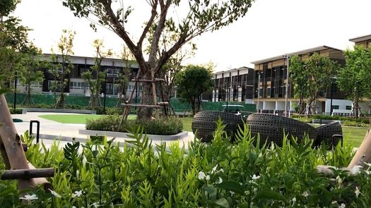 Фото 1 of the Communal Garden Area at Sammakorn Avenue Chaiyapruek-Wongwaen