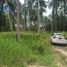  Land for sale in Surat Thani, Lipa Noi, Koh Samui, Surat Thani