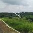  Land for sale in Phuket, Thep Krasattri, Thalang, Phuket