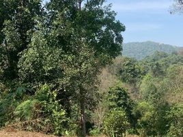  Land for sale in Huai Sai, Mae Rim, Huai Sai