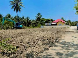  Grundstück zu verkaufen in Damnoen Saduak, Ratchaburi, Don Khlang