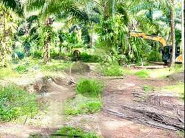  Land for sale in Surat Thani, Bang Bai Mai, Mueang Surat Thani, Surat Thani