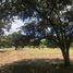  Land for sale at Liberia, Liberia, Guanacaste