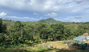 N/A Land for sale in Tha Yu, Phangnga 