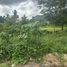  Land for sale in Nong Thale, Krabi, Nong Thale, Mueang Krabi