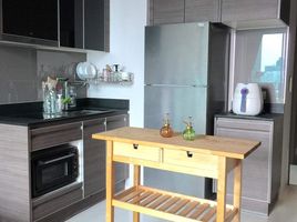 1 Schlafzimmer Wohnung zu vermieten im Keyne, Khlong Tan