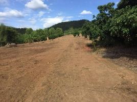  Land for sale in Pai, Mae Hong Son, Wiang Nuea, Pai