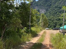  Grundstück zu verkaufen in Khlong Thom, Krabi, Khlong Thom Nuea