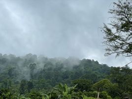 在那空那育出售的 土地, Khao Phra, Mueang Nakhon Nayok, 那空那育