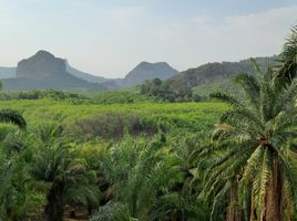  Grundstück zu verkaufen in Mueang Krabi, Krabi, Ao Nang, Mueang Krabi, Krabi